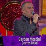 Berdan Mardini ÇAVREŞ DELAL
