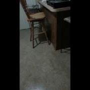 Rat Bastard Escapes Death Mov Takes Cheese From Trap Runs Away