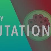 Mutations Genetics Biology FuseSchool