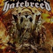 Hatebreed Everyone Bleeds Now