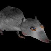 Rats Birthday Mixtape But Without Michael Rat Movie 2