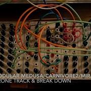 Serge Modular Medusa Carnivore2 Mirage Track Tutorial