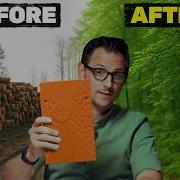 A Genius Solution To Stop Forest Destruction