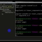 How To Create AngularJS Starter Kit By Using Bower