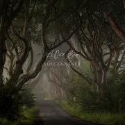 You Re Lost In An Enchanted Forest Piano Playlist