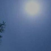 JTree Sample 1