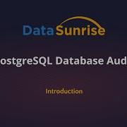 01 PostgreSQL Database Audit Introduction