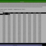 Buffer Overflow Tutorial Part 6