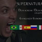 SUPERNATURAL 4X6 Dean Screams At Cat Dean Se Asusta Con Un Gato 6 Languages 6 Idiomas