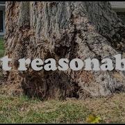 Why Are Arborists Afraid Of Risk Assessment Featuring Marty Shaw