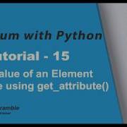 How To Get Value Of An Element Attribute Get Attribute Property In Selenium Webdriver