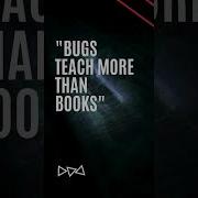 Coding Quotes Coding Programming Shorts
