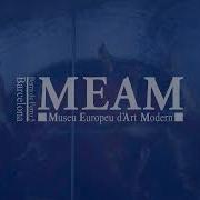 Shane Wolf A Tour De Force Retrospective MEAM Museum Barcelona