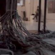 Emergence Biofeedback Art Installation