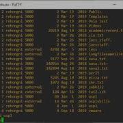 Bash Perl Unix Shell