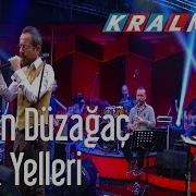 Feridun Düzağaç Kavak Yelleri Kral POP Akustik