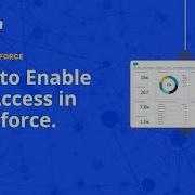How To Enable API Access In Salesforce