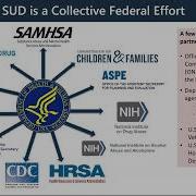 Substance Use Disorder 101