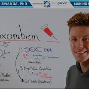 How Does Doxorubicin Red Devil Cancer Treatment Work