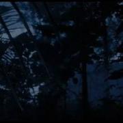 Cane Toads The Conquest Official Trailer
