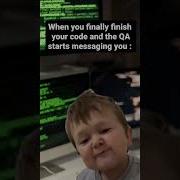 Developer Tester Relationship Programminghumor