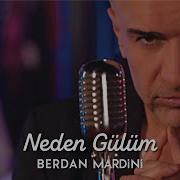 Berdan Mardini Neden Gülüm