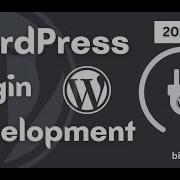 Разработка плагинов для WordPress 2025