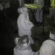 SUNFLOWER MEATLOCKER TV