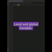 Python Program Local And Global Variables Use