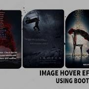 Image Hover Effects Image Overlay Hover Effects Using HTML CSS Bootstrap 2021