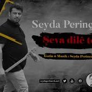 Seyda Perinçek Şeva Dile Te Axa Singa Te Yeni