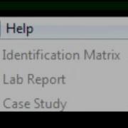 VUMIE Quick Start 10 The Virtual Lab Report