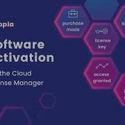 Software Activation Via The Cloud License Manager Software Licensing Access Management