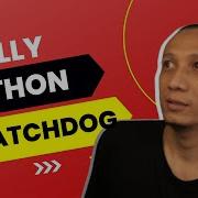 Silly Python Watchdog