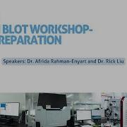 Western Blot Workshop Lysate Preparation