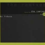 Lost Witness Did I Dream Song To The Siren DJ Tiësto Remix