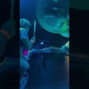 Hazing Over DRUM CAM Ryan Yester