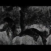 Elin Piel Untitled