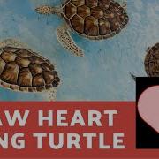 Learn How To Draw Heart Using Turtle Module And Python