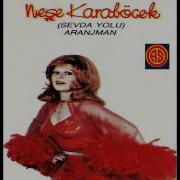 Neşe Karaböcek Sevda Yolu