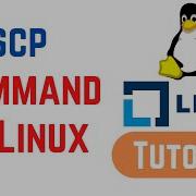 Scp Command SCP To Securely Transfer Files Folders In Linux