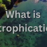 What Is Eutrophication