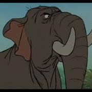 Winifred Confronts Hathi