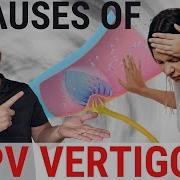 What Causes BPPV Top 4 Causes Benign Paroxysmal Positional Vertigo