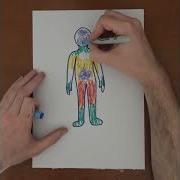 Emotional Body Mapping