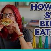 How To Stop BINGE Eating 9 Tools My Personal Experience Day 13