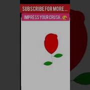 Amazing Rose Drawing Using Python Turtle Graphics In Python Python Graphics