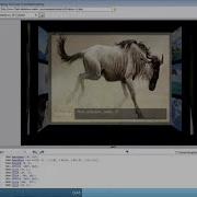 Legacy EveryStep Scripting Tool Overview