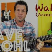 Guitar Lesson How To Play Walk By Foo Fighters Dave Grohl Acoustic Campfire Style
