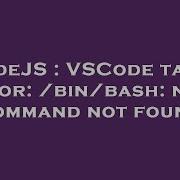 NodeJS VSCode Tasks Error Bin Bash Npm Command Not Found